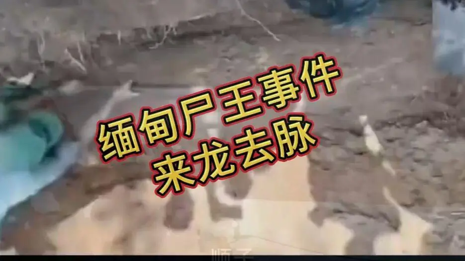 《缅甸僵尸出土事件视频》诡异真相解密在线观看免费播放 - 完整版资源在线观看免费播放，缅北僵尸出土事件始末原视频高清下载