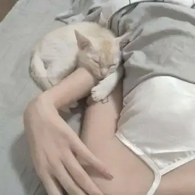 森泽佳奈全集高清免费观看无广告在线播放蓝光无水印完整版网盘资源下载